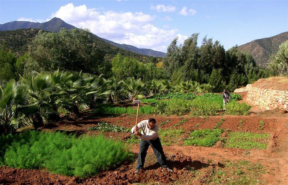 فندق Moulay Brahimفي  Domaine Malika المظهر الخارجي الصورة
